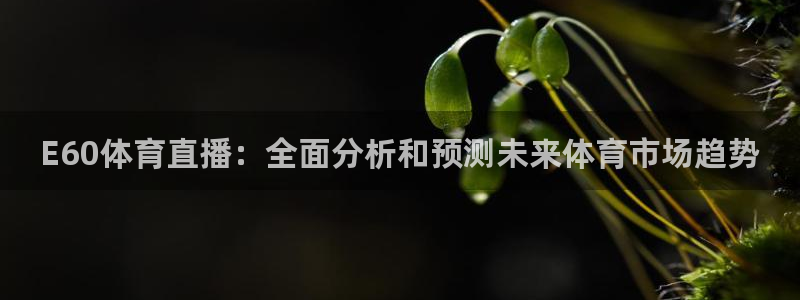 五星体育频道节目表电视猫：E60体育直播：全面分析和预测未来体育市场趋势
