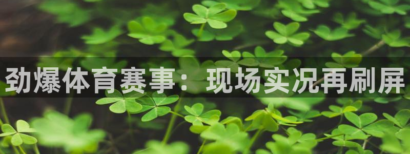 五星体育巴林f1直播在线观看：劲爆体育赛事：现场实况再刷屏