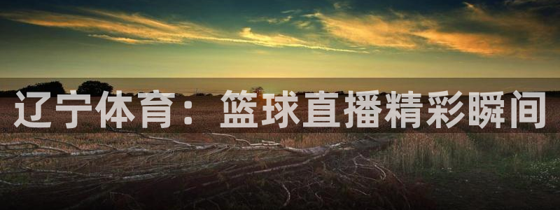 五星体育 直播：辽宁体育：篮球直播精彩瞬间