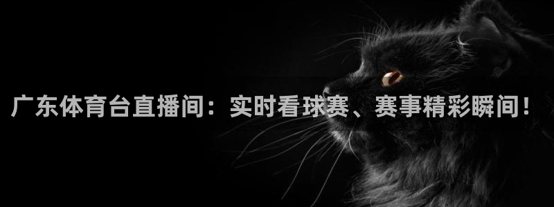 五星体育节目表电视猫：广东体育台直播间：实时看球赛、赛事精彩瞬间！