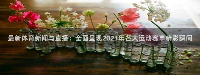 五星体育直播官网：最新体育新闻与直播：全面呈现2023年各大运动赛事精彩瞬间